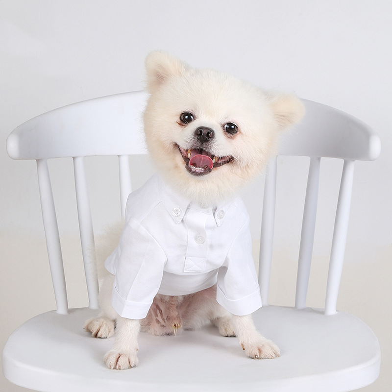 Summer Dog Clothing - Camisas de fondo para mascotas de