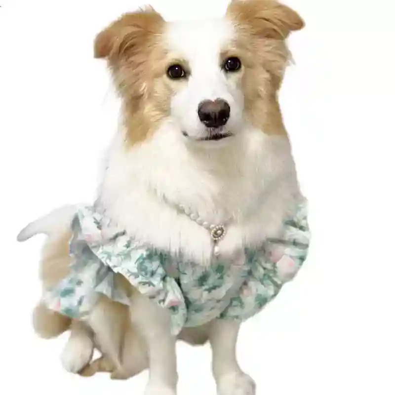 Summer Dog Clothing - Ropa para Mascotas, Primavera y Verano,