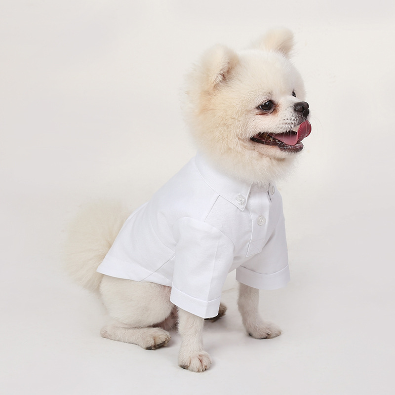 Camisas de fondo para mascotas - Summer Dog Clothing reseña y precio