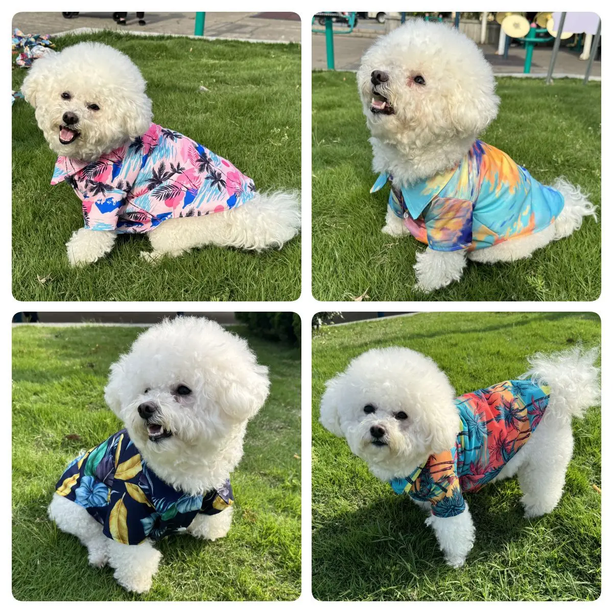 Camisa Hawaiana para Mascotas, - Summer Dog Clothing reseña y precio