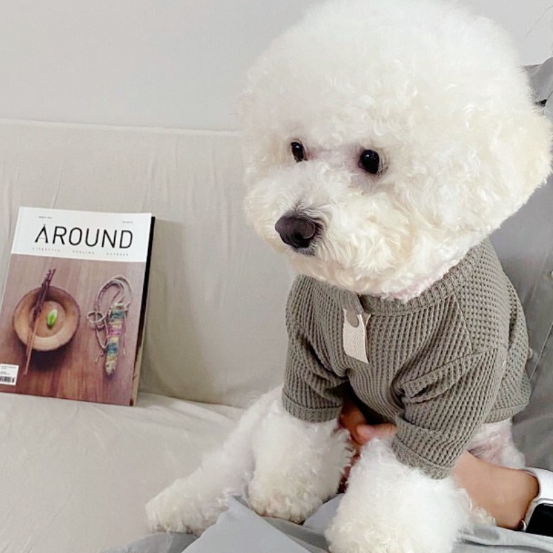 Camisa de verano para mascotas - Summer Dog Clothing reseña y precio