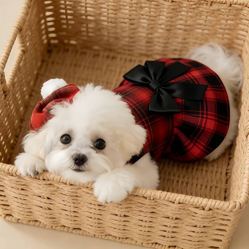 Ropa para Perros, Camisa a Cua - Summer Dog Clothing reseña y precio