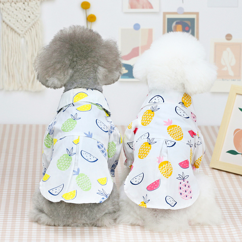 Nueva Ropa de Primavera/Verano - Summer Dog Clothing reseña y precio