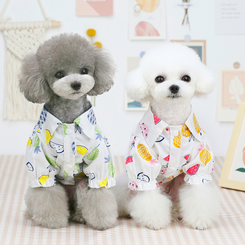 Nueva Ropa de Primavera/Verano - Summer Dog Clothing reseña y precio