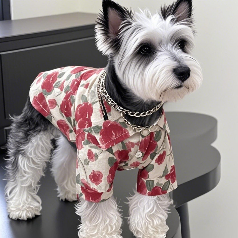Camisa hawaiana de estilo play - Summer Dog Clothing reseña y precio