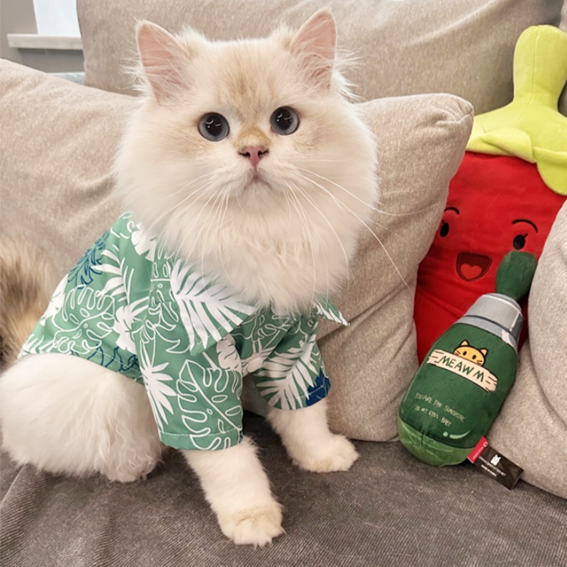 Camisa hawaiana de estilo play - Summer Dog Clothing reseña y precio