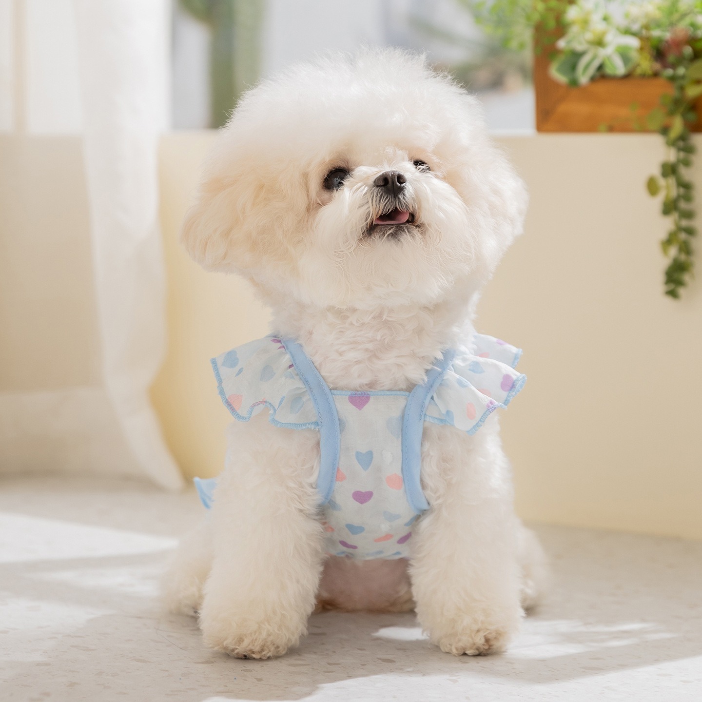Ropa para Perros Amarilla, Ves - Soft Summer Yellow Clothing reseña y precio