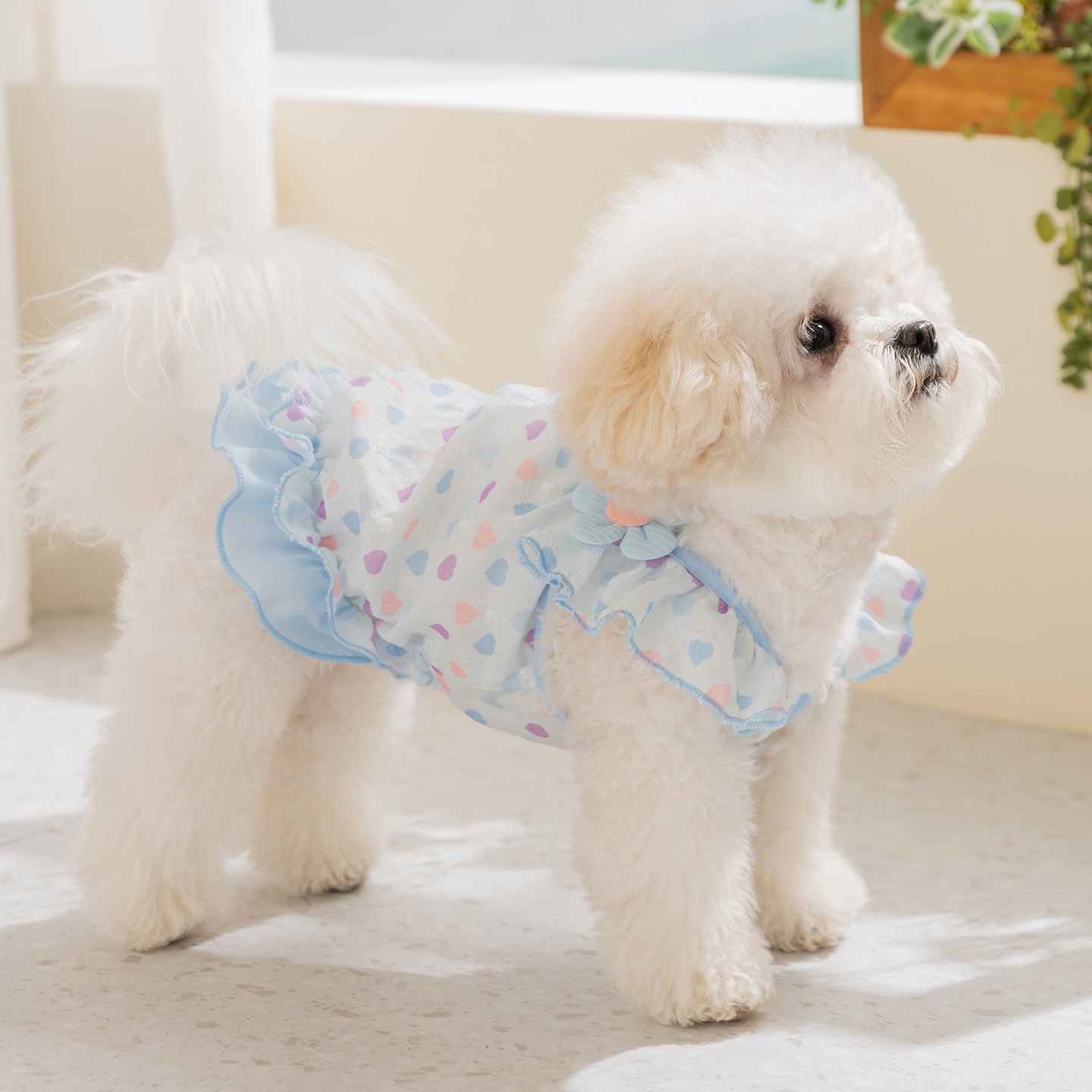 Ropa para Perros Amarilla, Ves - Soft Summer Yellow Clothing reseña y precio